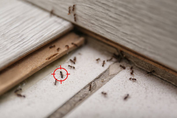 Best Commercial Pest Control Services  in Milford, IN